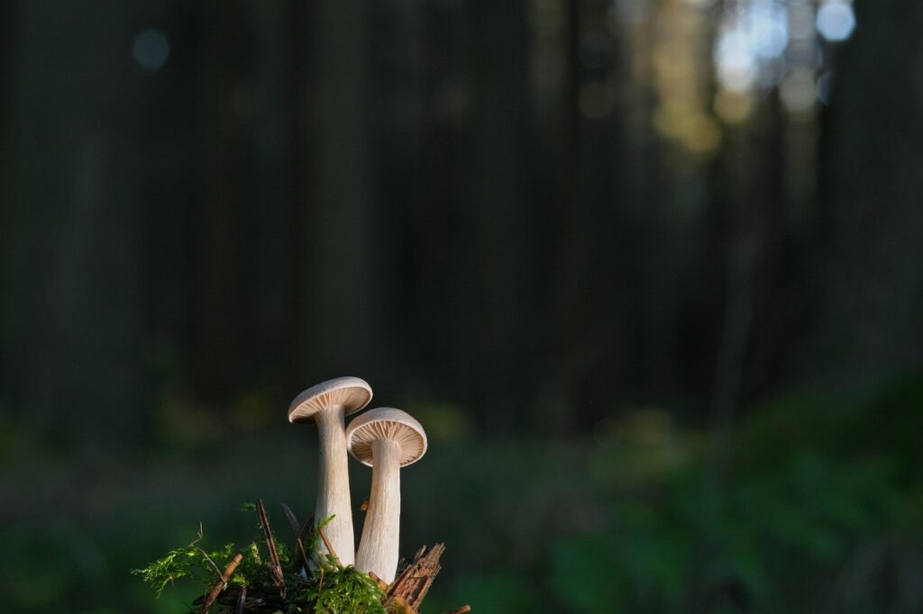 Kaip Kauno smulkusis verslas išgyvena infliacijos laikotarpį: realios istorijos ir strategijos