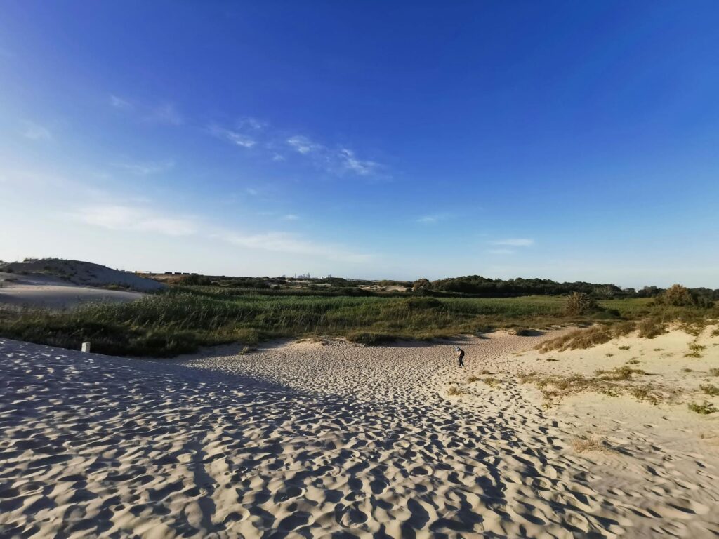 Kauno įmonės, kurios tyliai užkariauja pasaulines rinkas: sėkmės istorijos, apie kurias niekas nekalba