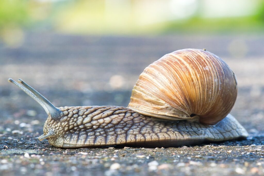 Kodėl kompiuteris lėtai veikia: 7 dažniausios priežastys ir kaip jas išspręsti patiems Kodėl kompiuteris lėtai veikia: 7 dažniausios priežastys ir kaip jas išspręsti patiems