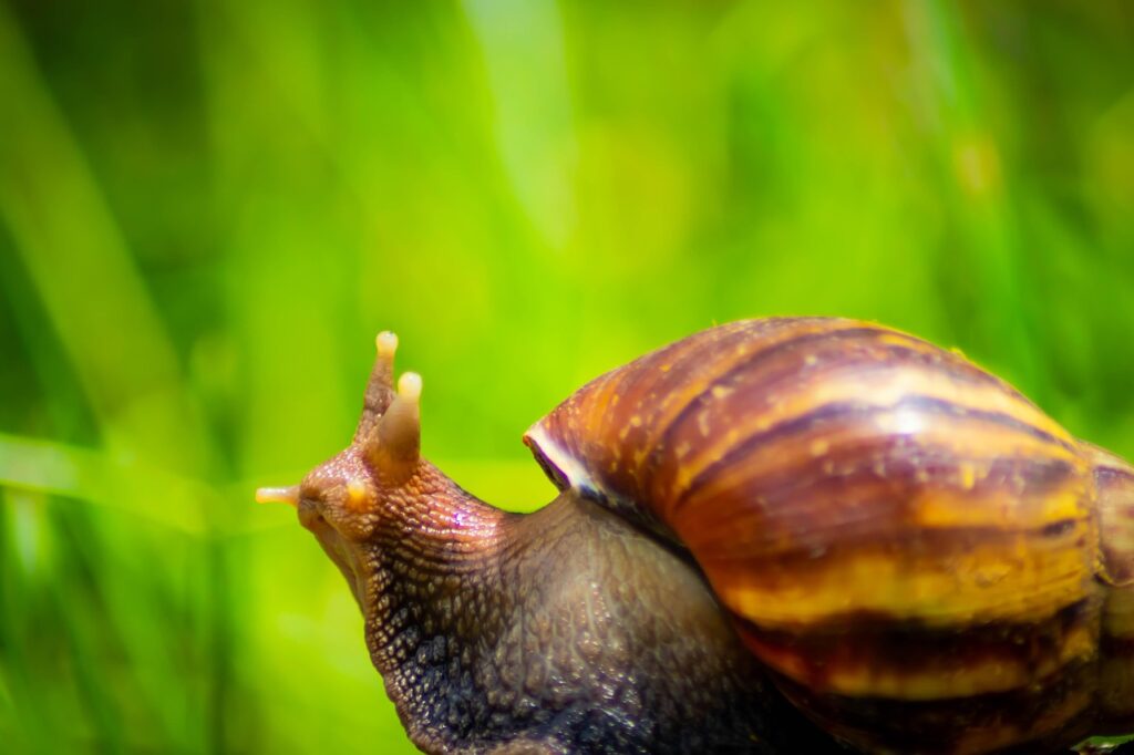 Kodėl kompiuteris lėtai veikia: 7 dažniausios priežastys ir kaip jas išspręsti namuose Kodėl kompiuteris lėtai veikia: 7 dažniausios priežastys ir kaip jas išspręsti namuose